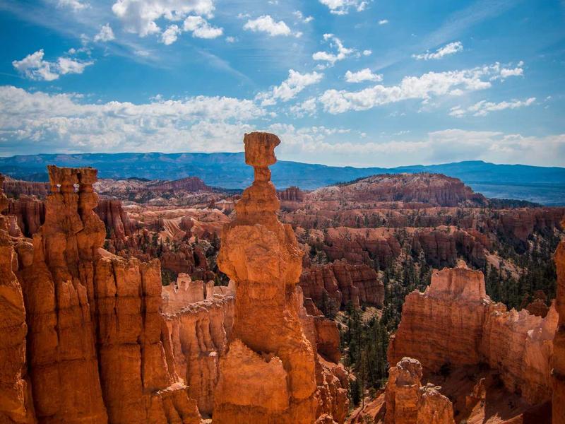 sudoku coloring method screenshot 1